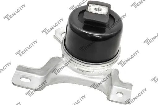 COXIM MOTOR LD