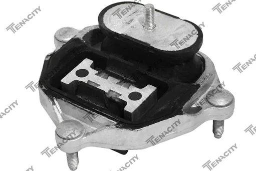 COXIM MOTOR TRASEIRO