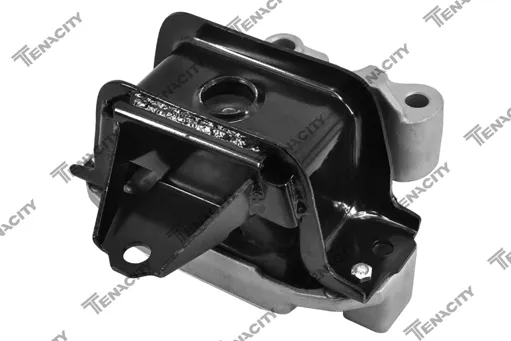COXIM MOTOR LD